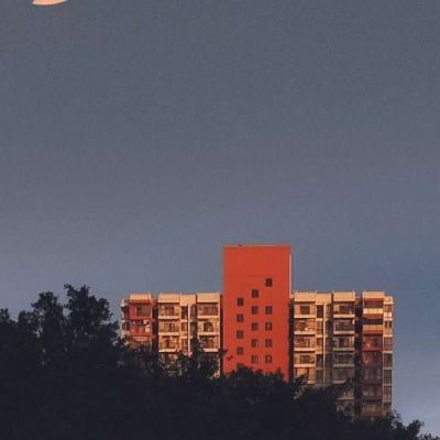 买球的app排行榜前十名推荐截图