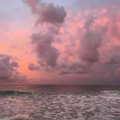 金沙集团186cc成色官方版下载