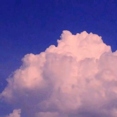 天天中彩票手机版登录