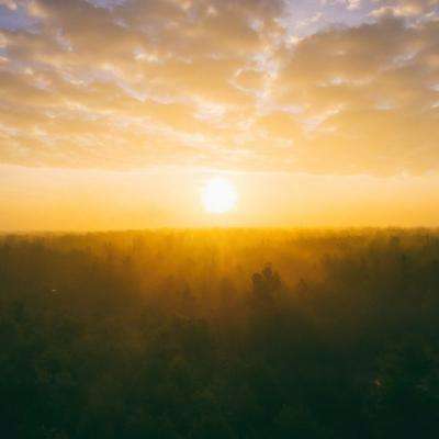 pg电子·模拟器(试玩游戏)手机app下载