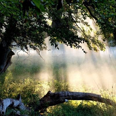 大发国际app下载