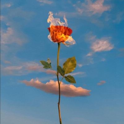 金沙集团9500app下载