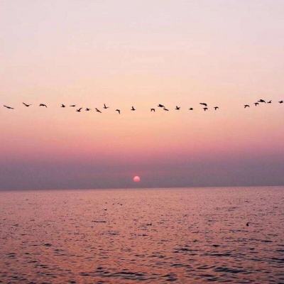 BET体育365投注官网app下载