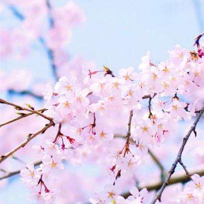 斗牛棋牌app下载